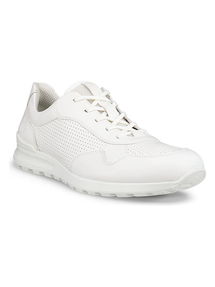 Ecco Leder-Sneakers 