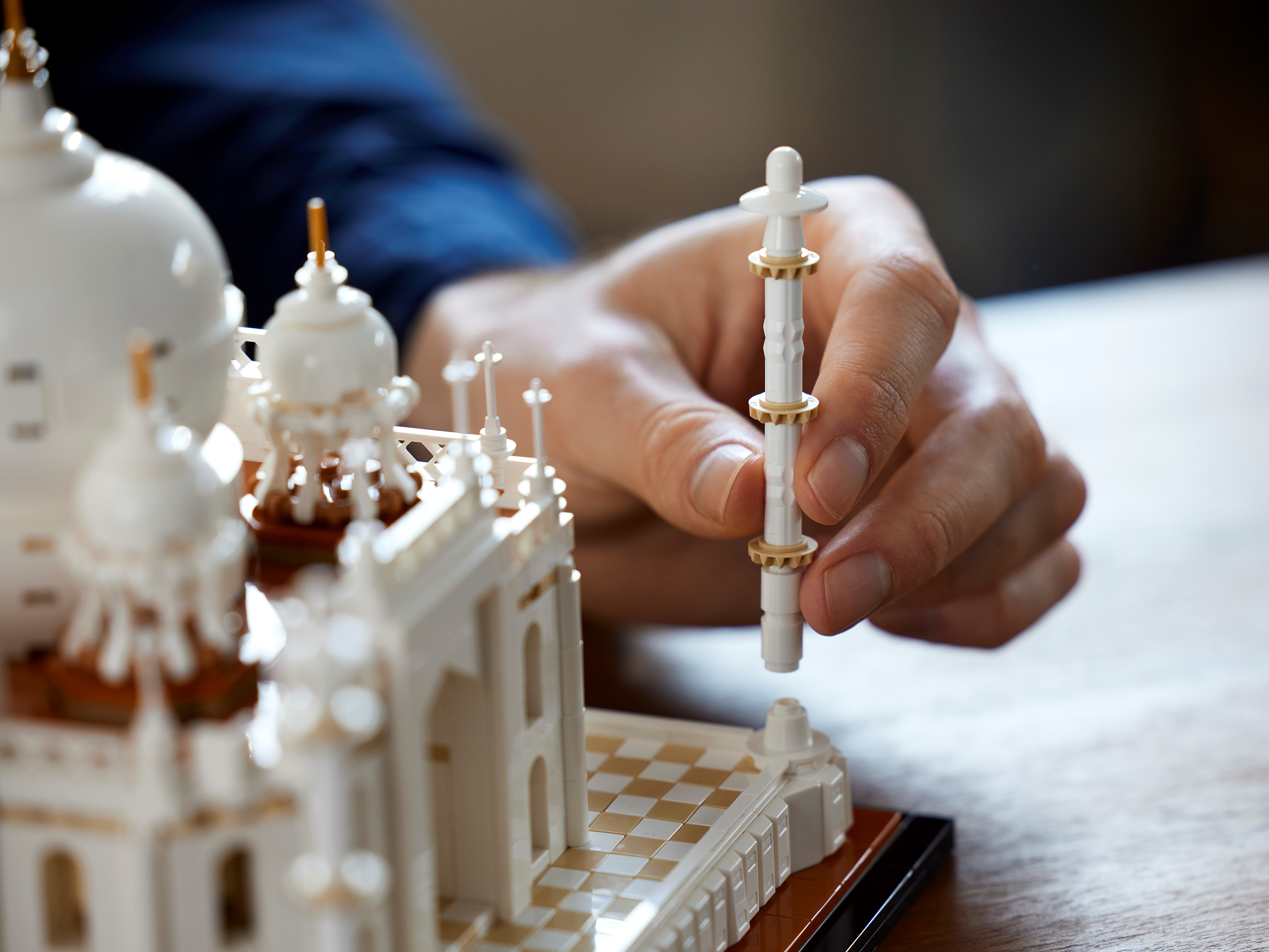 Taj Mahal 21056