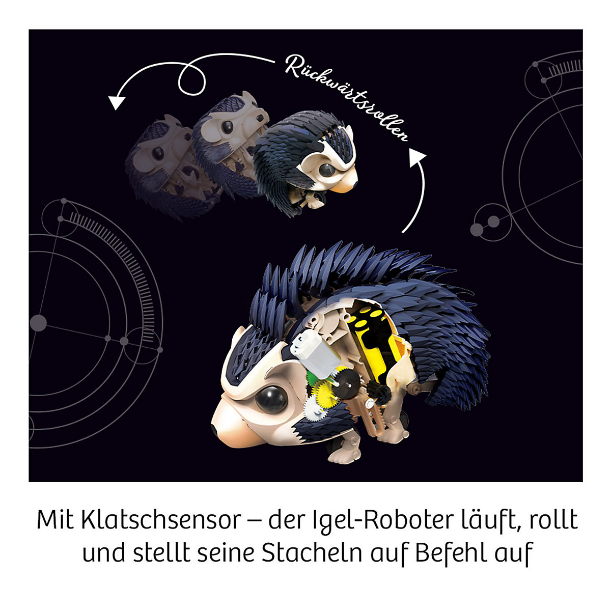 Nuna - Dein Igel-Roboter