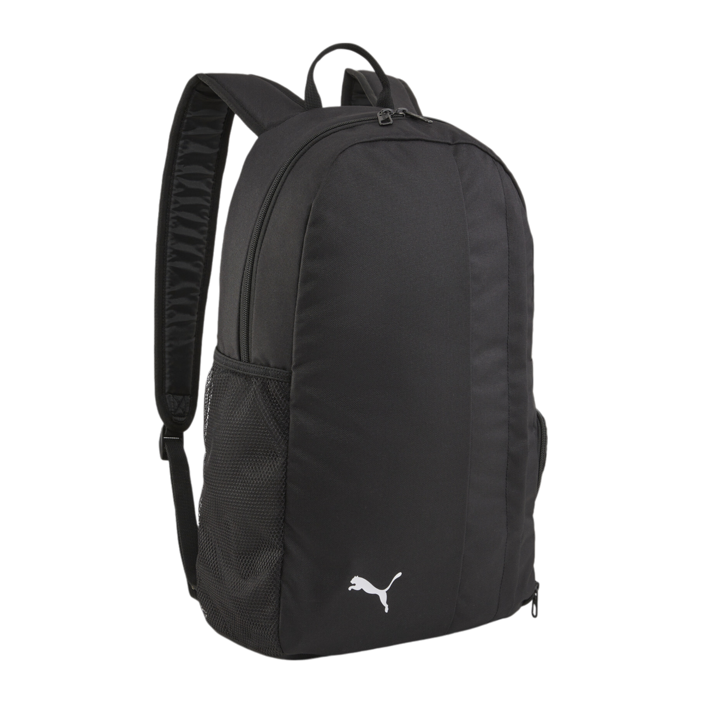 PUMA teamGOAL Rucksack Schwarz F01