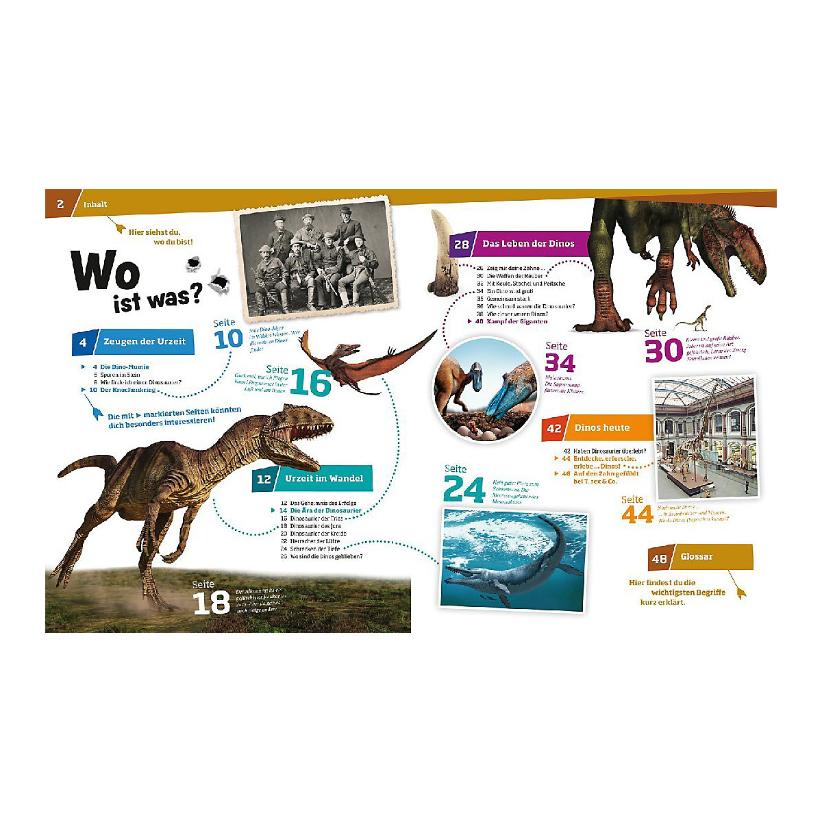 WAS IST WAS Dinosaurier, Band 15