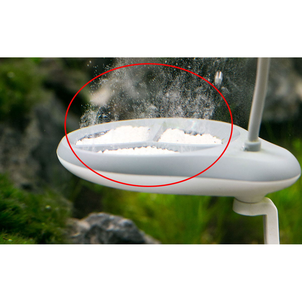 Twinstar Calcium Cleaner günstig kaufen