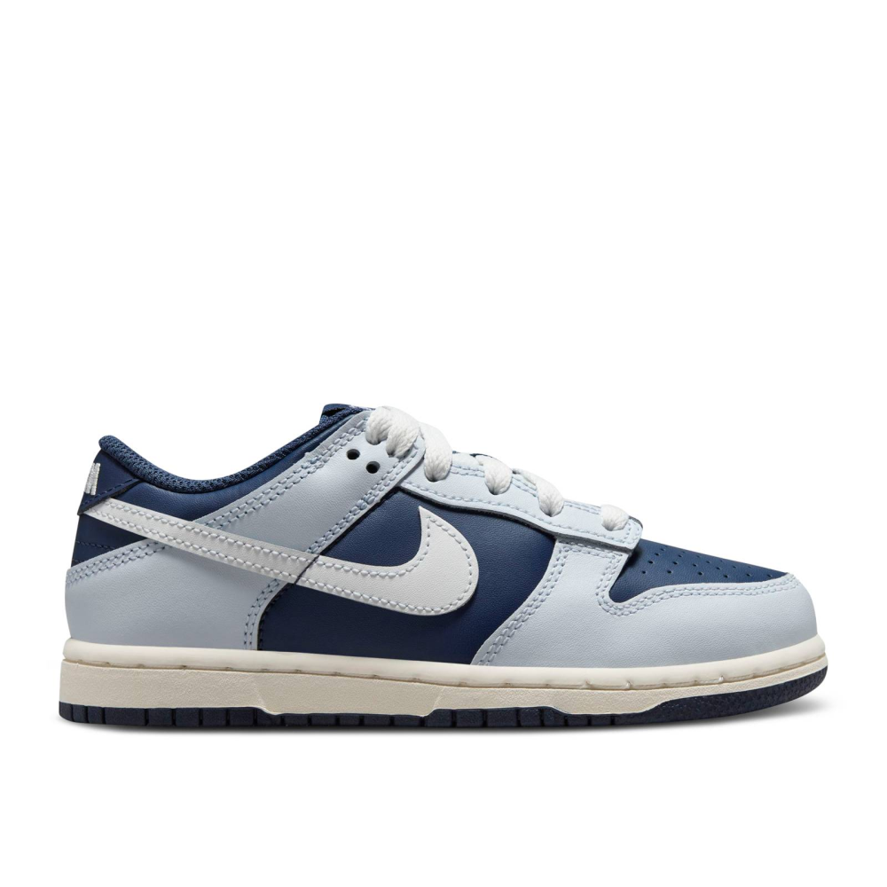 Nike Dunk Low FB9108-002 / grau