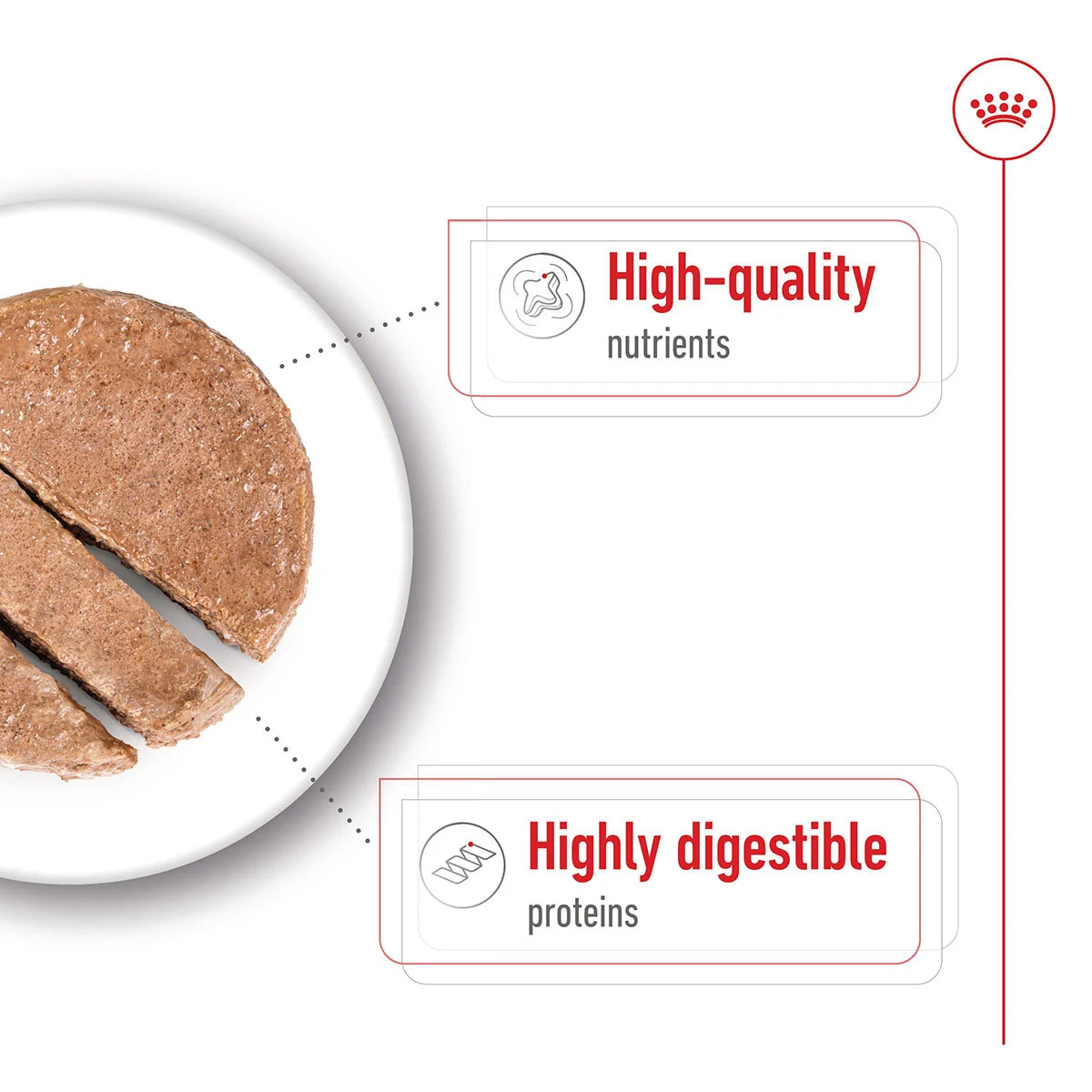 Royal Canin SHN Maxi Adult Loaf Can günstig kaufen bei ZooRoyal