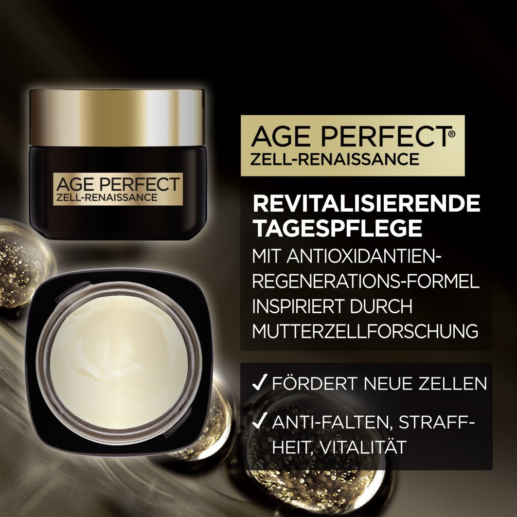 Zell-Renaissance Tagespflege