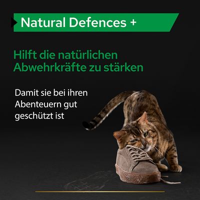 PRO PLAN Cat Adult Natural Defences Supplement Pulver