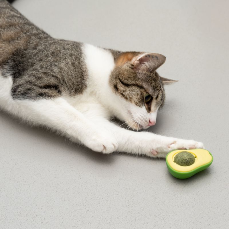 TIAKI Avocado mit Katzenminze-Ball zu TOP-Preisen