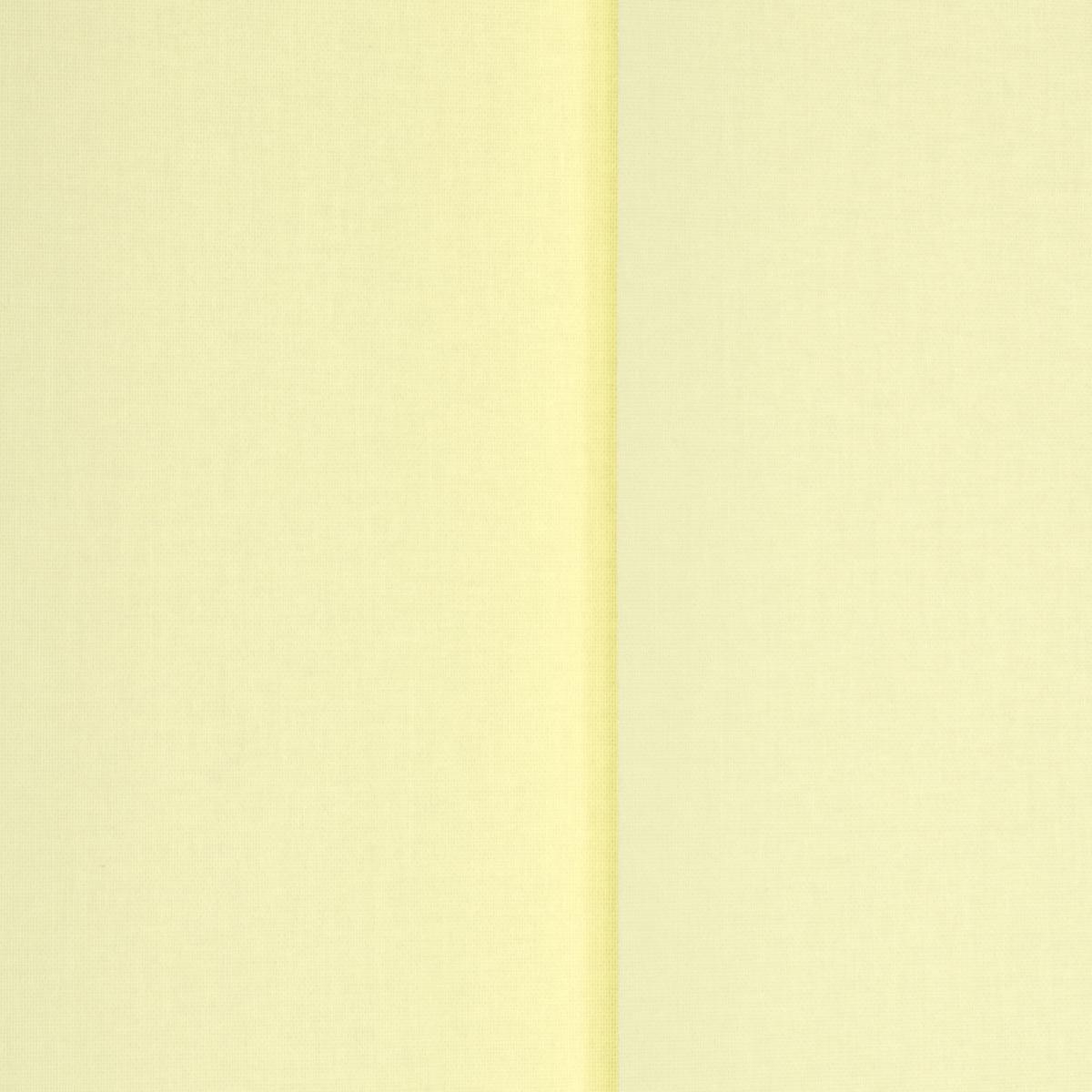 Bella Casa Schiebevorhang 120 x 180 cm hellgrün 127 mm