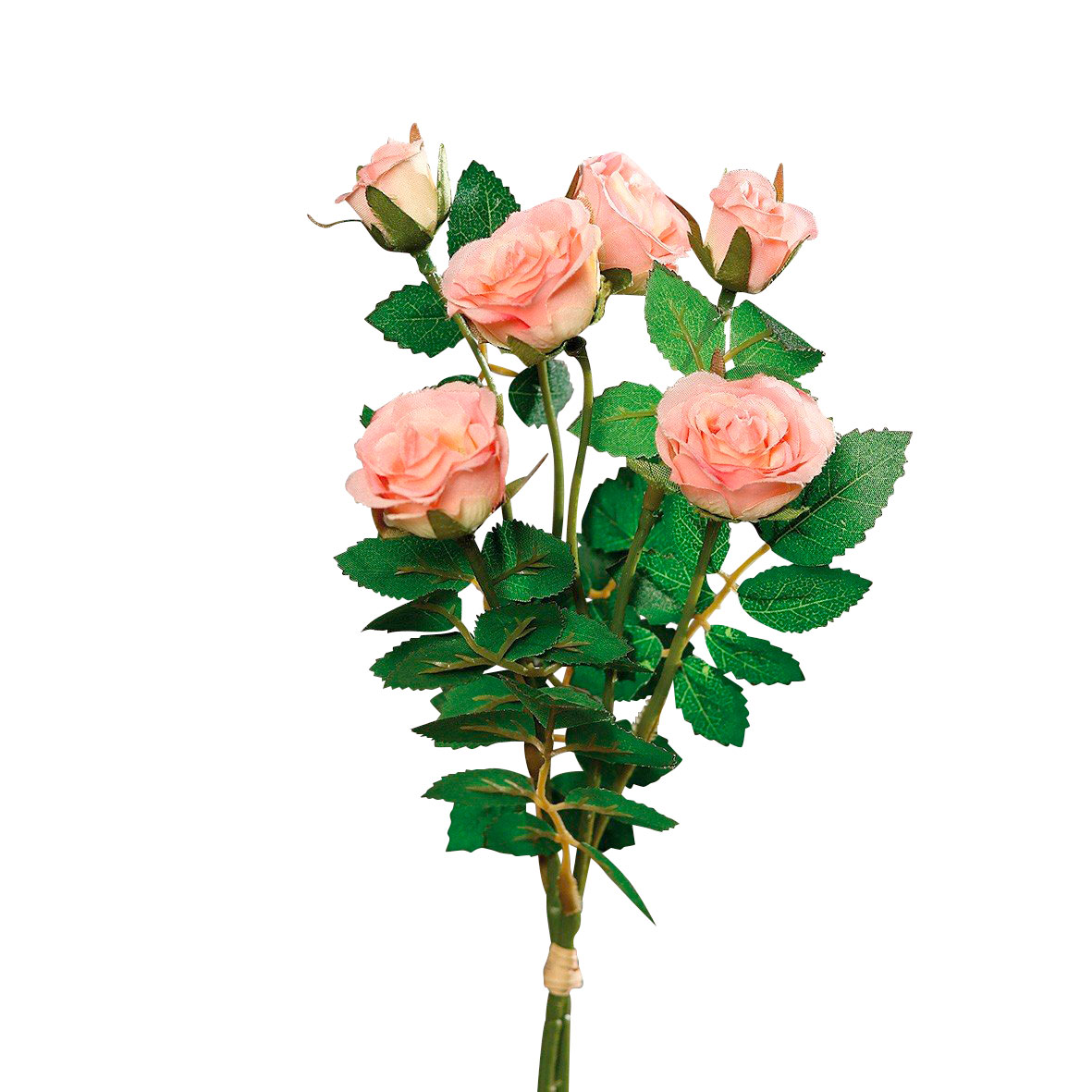 DPIRosenpick