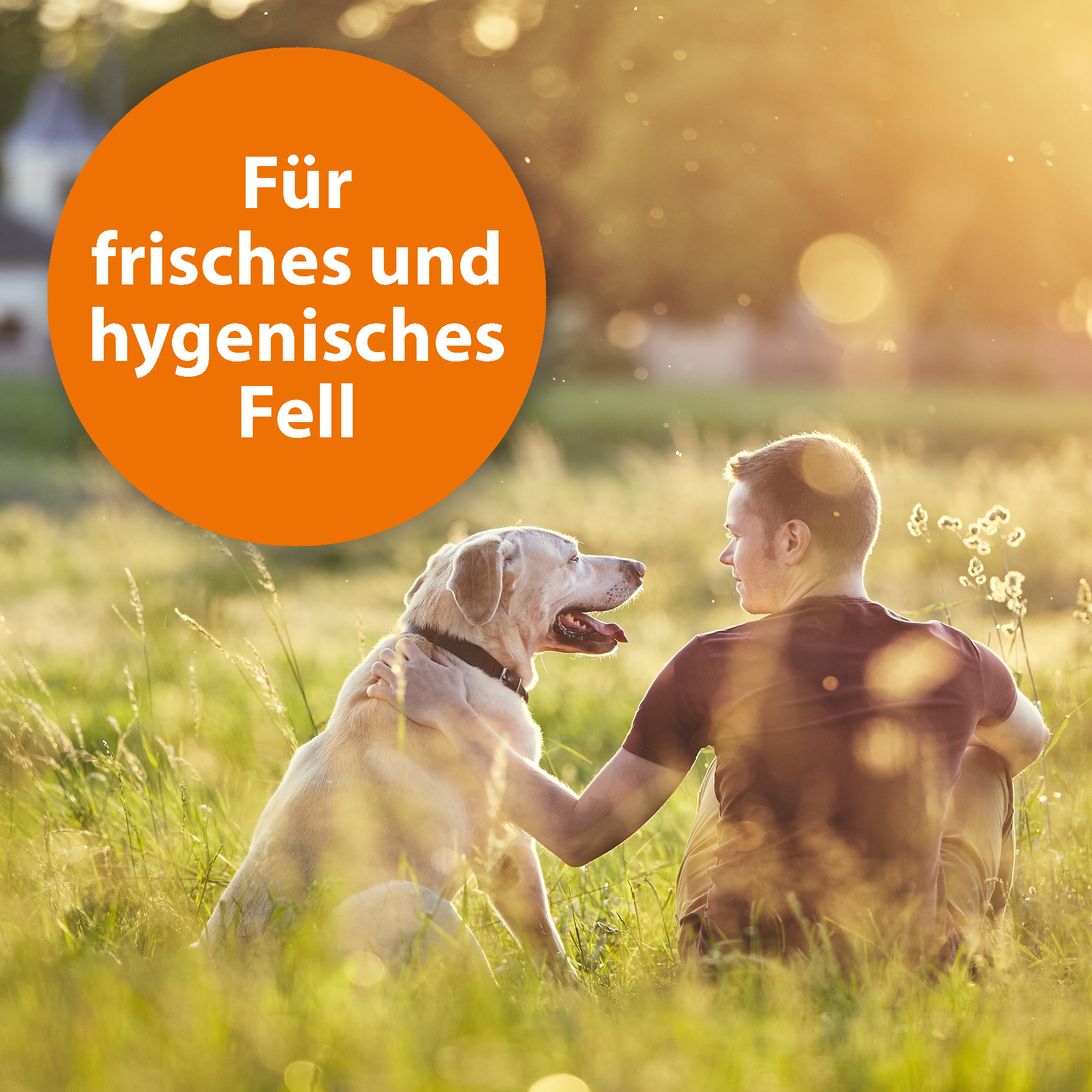 Ardap Fellpflege Ardap Anti Zecken Shampoo für Hunde 250ml