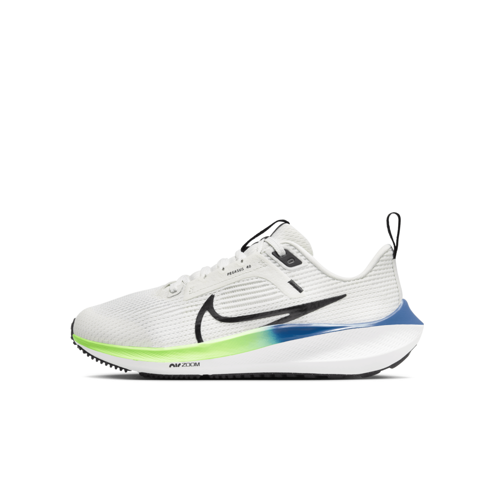 Nike Air Zoom Pegasus 40 DX2498-006 / grau