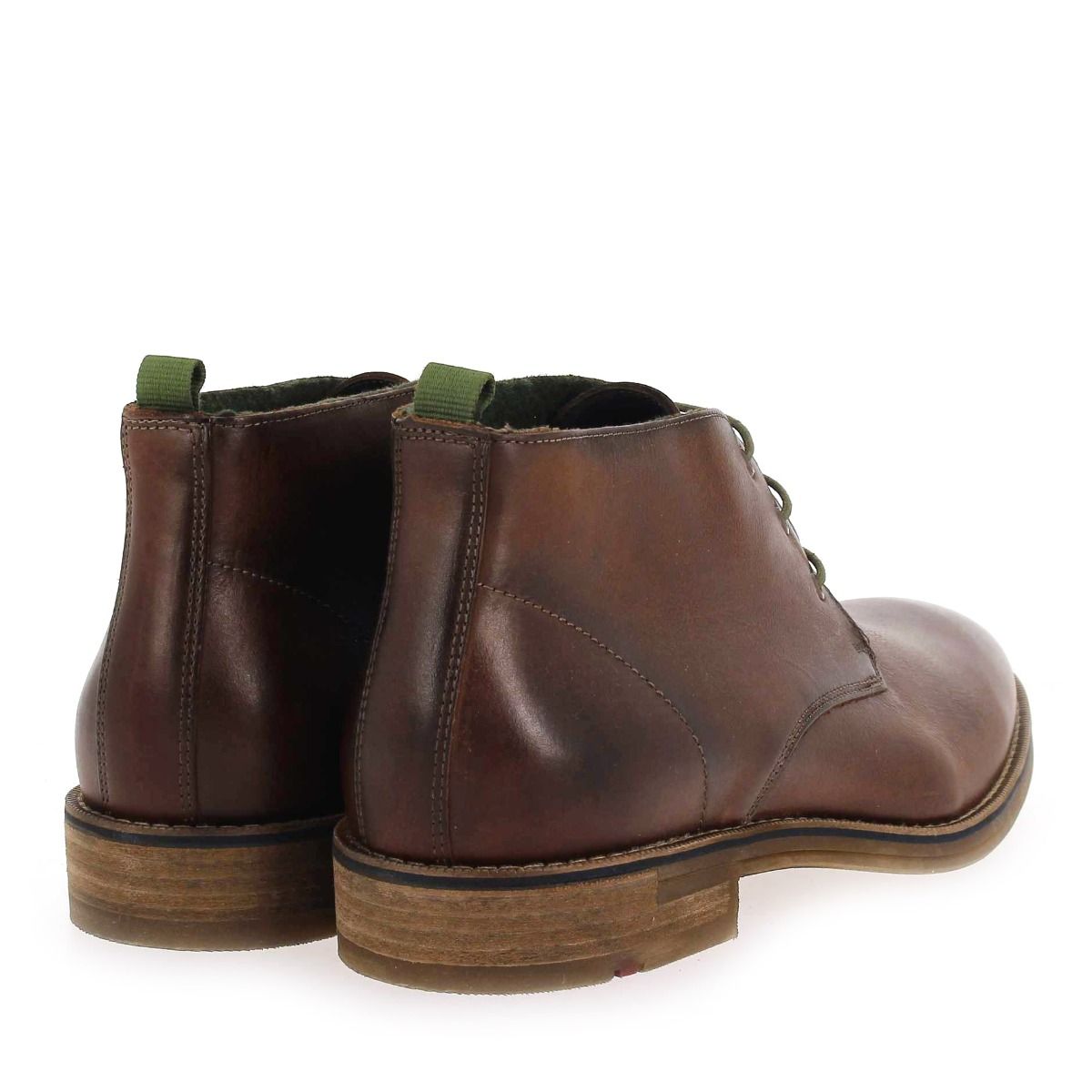 Lloyd  DARTMOOR - Marron