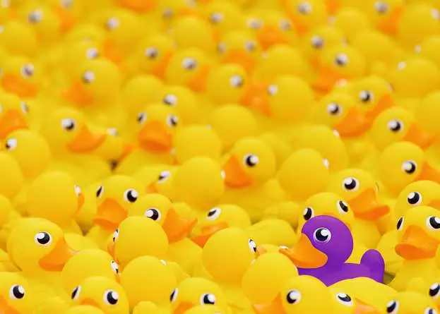 Puzzle 1000 Teile - Quietscheenten