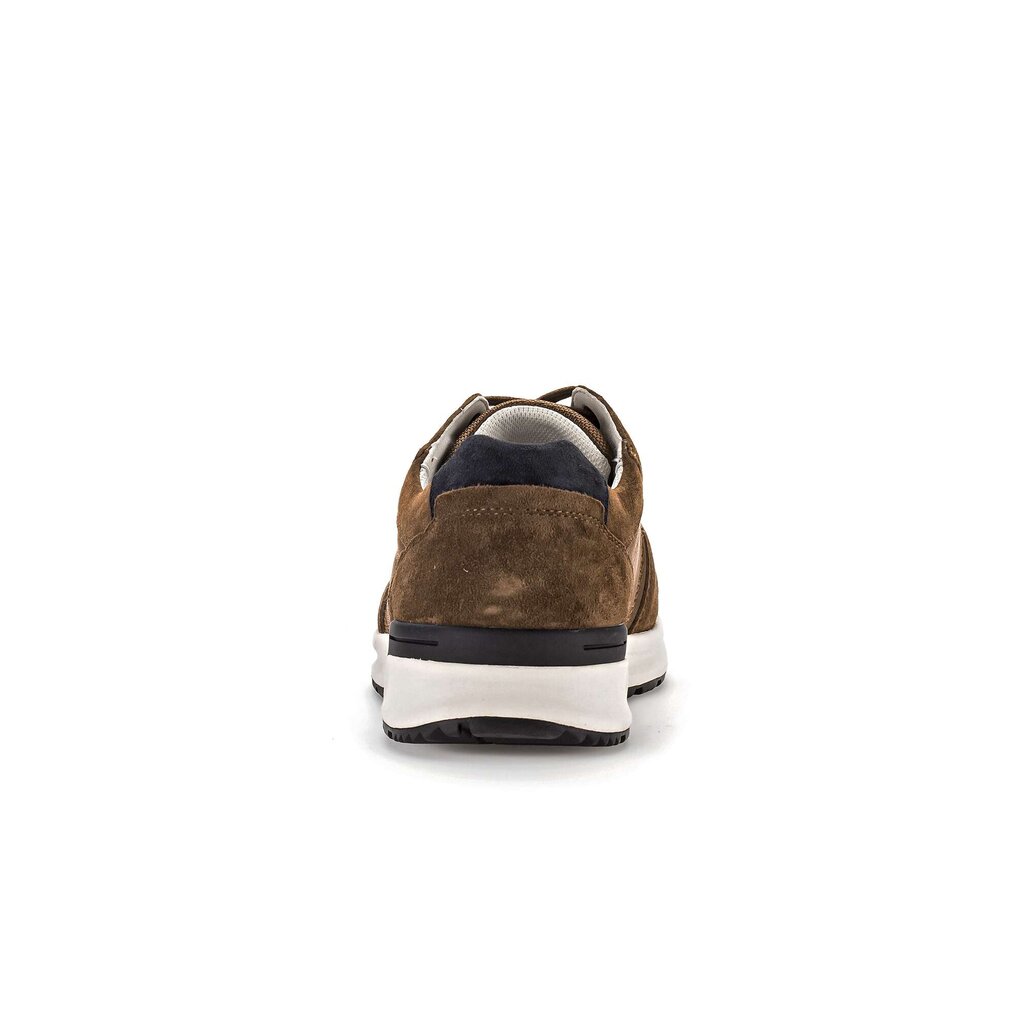 Pius Gabor PG1007 Sneaker low braun