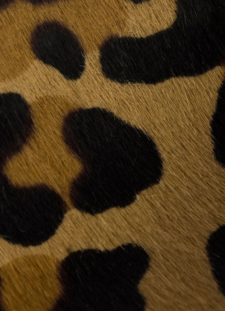 Prada Arqué leather shoulder bag with leopard print