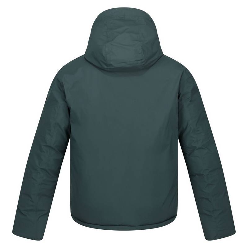Regatta Colehurst Winterjacke Herren