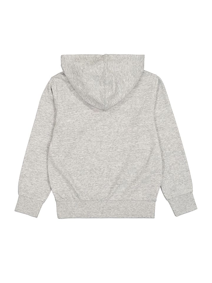 Champion Hoodie in Grau günstig kaufen