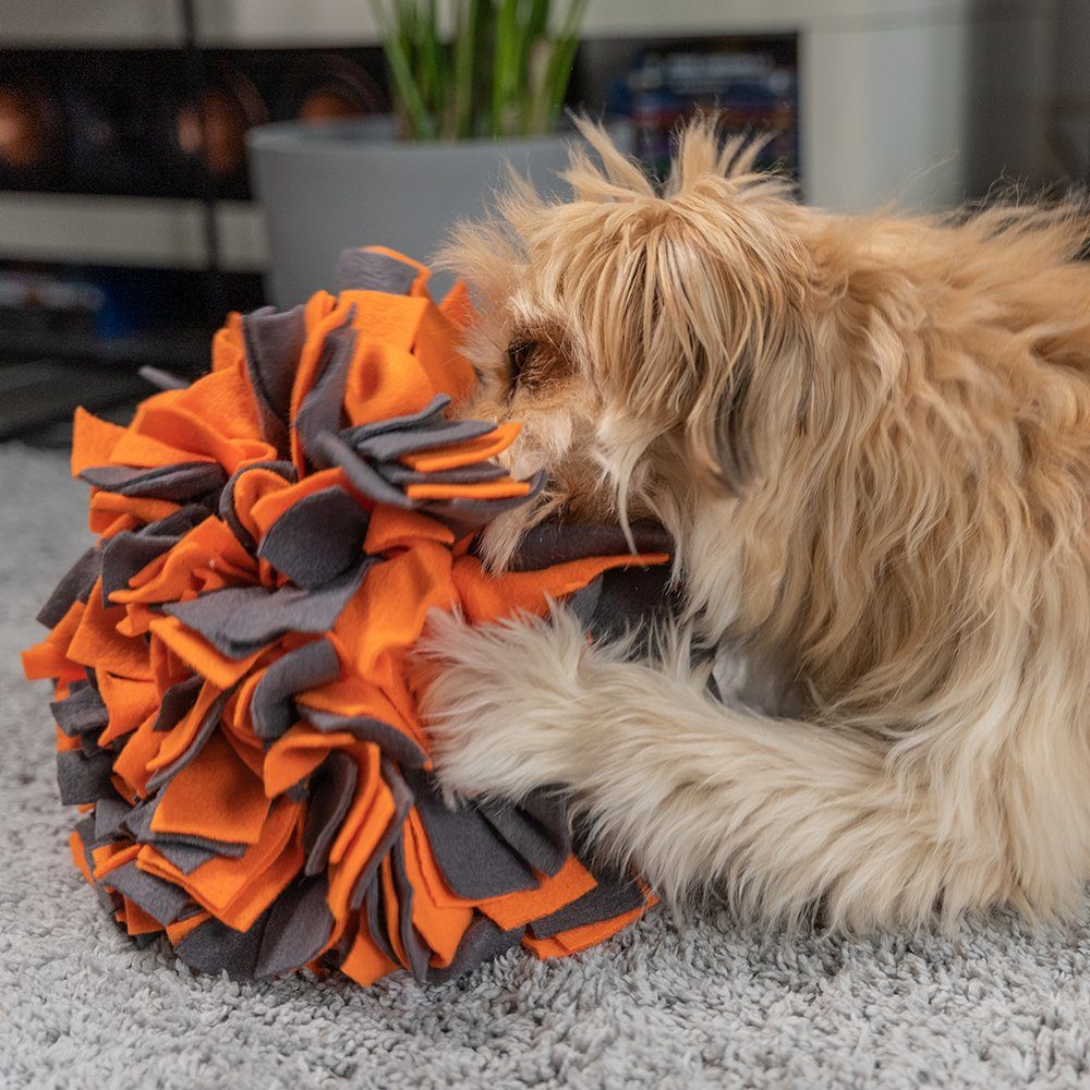 TrendPet Schnüffelteppich Schnüffelball für Hunde, in 2 Farben erhältlich