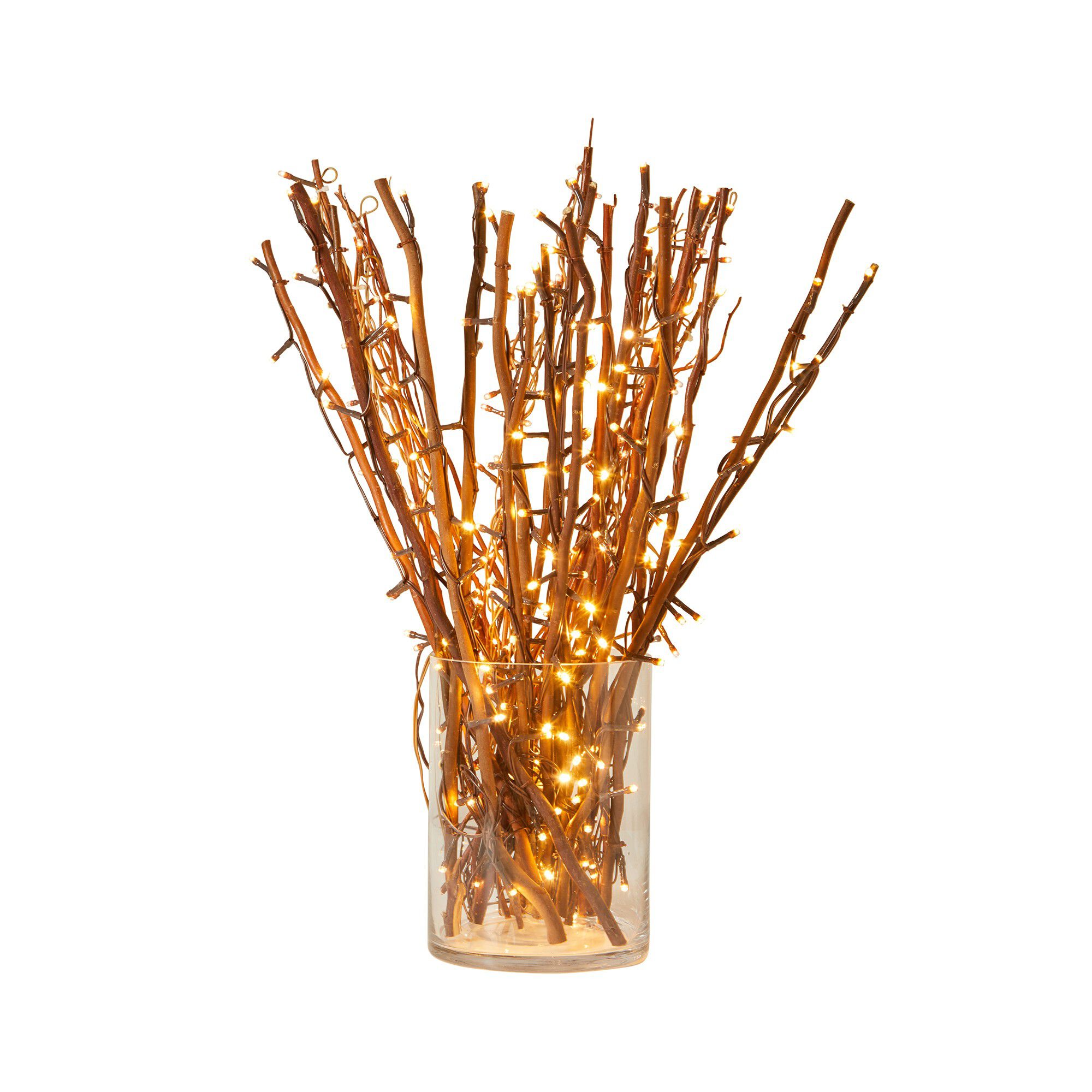 Branche lumineuse