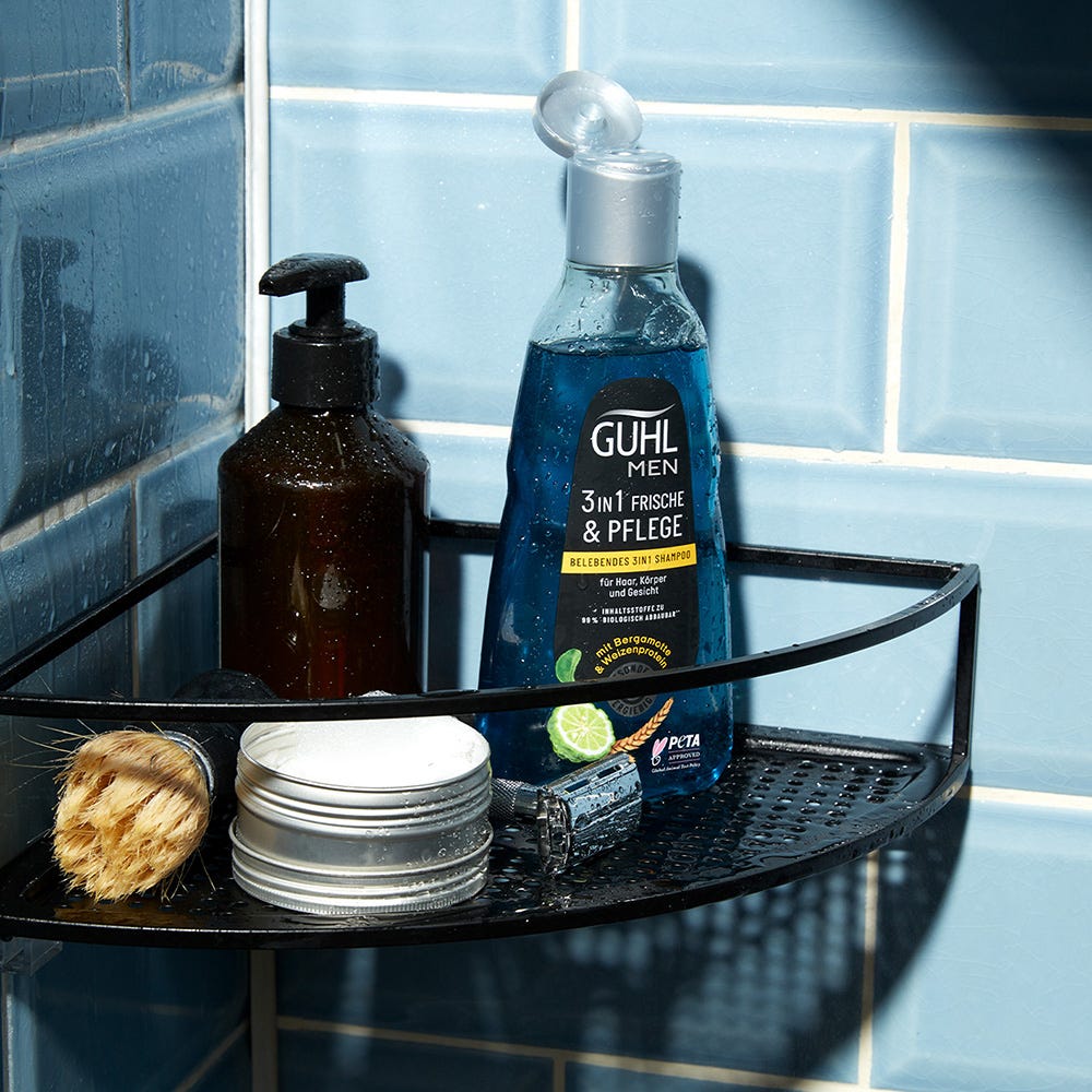 Guhl MEN Frische & Pflege Belebendes 3in1 Shampoo 250 ml
