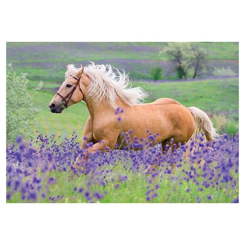 Puzzles L'amour des chevaux 2x 24 pièces