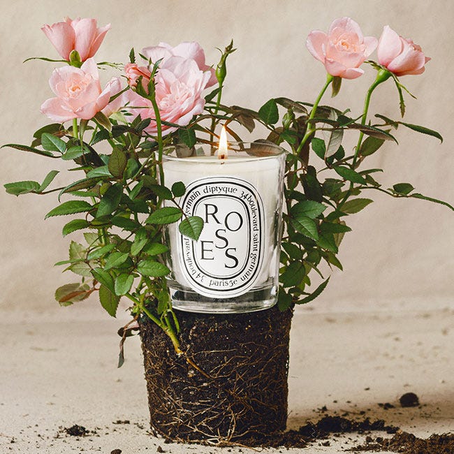Roses - Bougie modèle classique