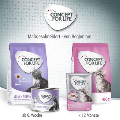 Concept for Life Mum & Young Kittens Mousse