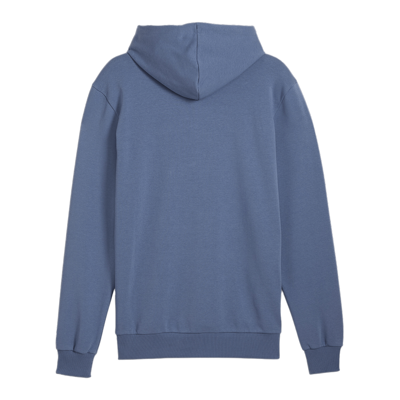 PUMA Handball Hoody Blau F10
