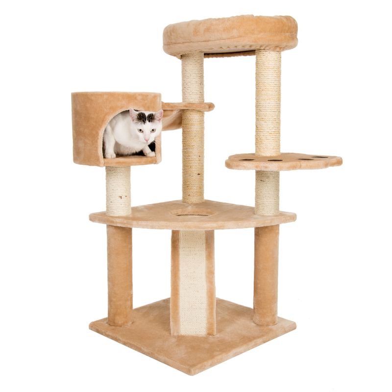 Kratzbaum Bärenhöhle - beige zu TOP-Preisen