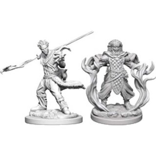 Human Male Druid: Nolzurs Marvelous Unpainted Minis