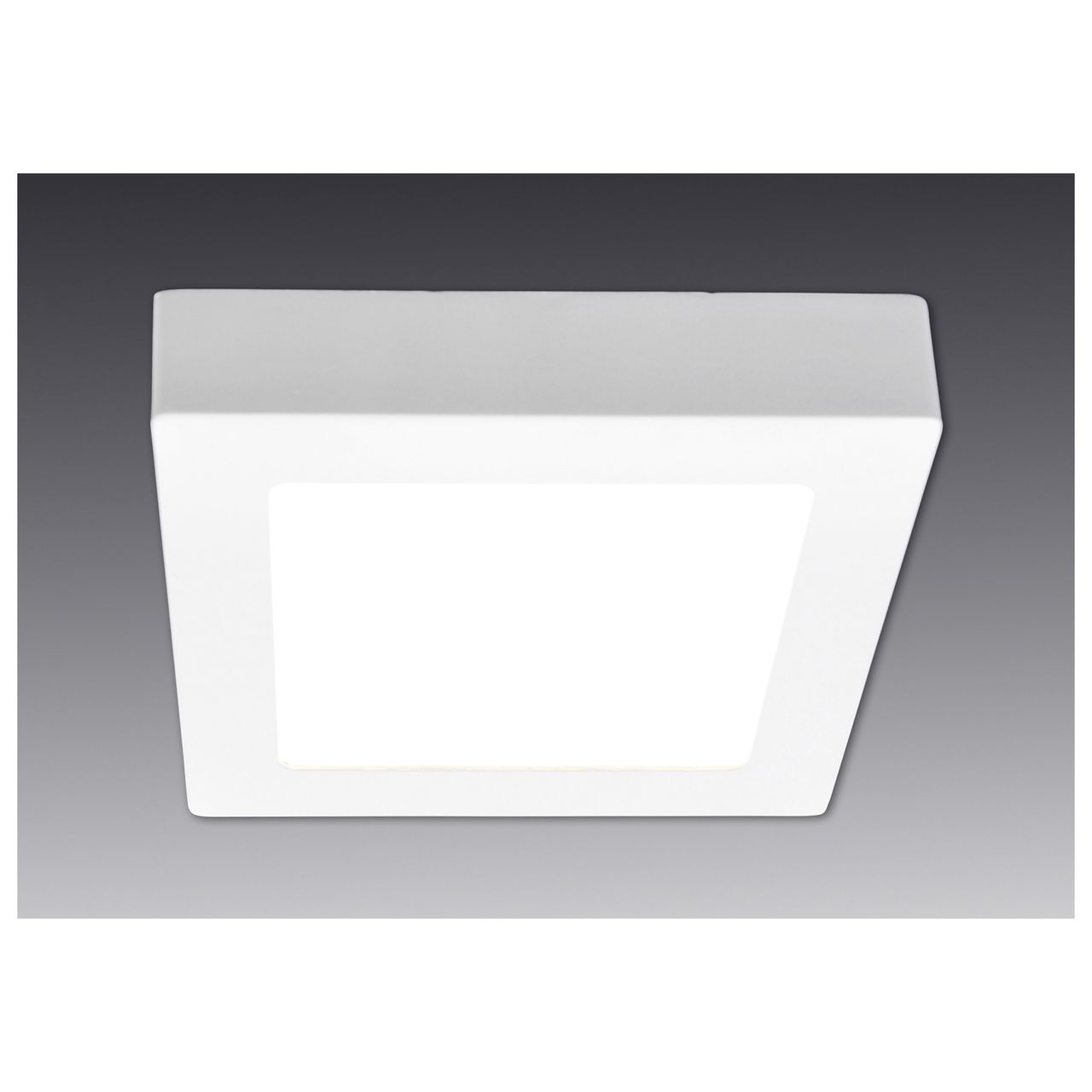 Näve Leuchten LED Aufbaupanel dimmbar 