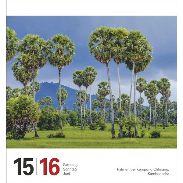 REISE TAGESABREIßKALENDER 2024 - Kalender
