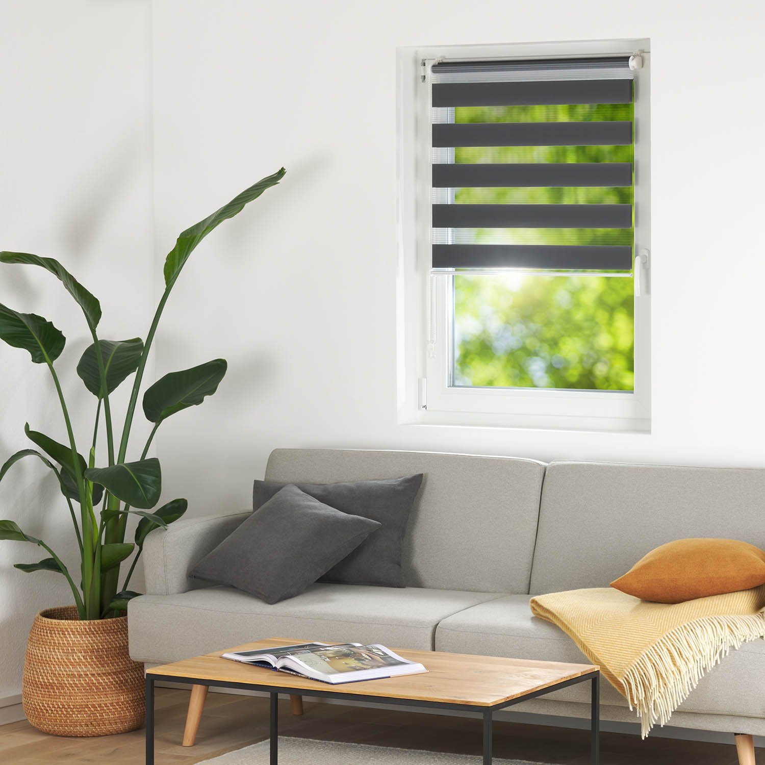 Doppelrollo Klemmfix Rollo, Rollos für Fenster ohne Bohren, Blumtal, Klemmfix, Klemmrollo für Fenster & Türen, Seitenzugrollo