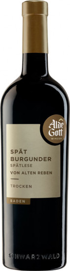 2022 Ausblick Spätburgunder 