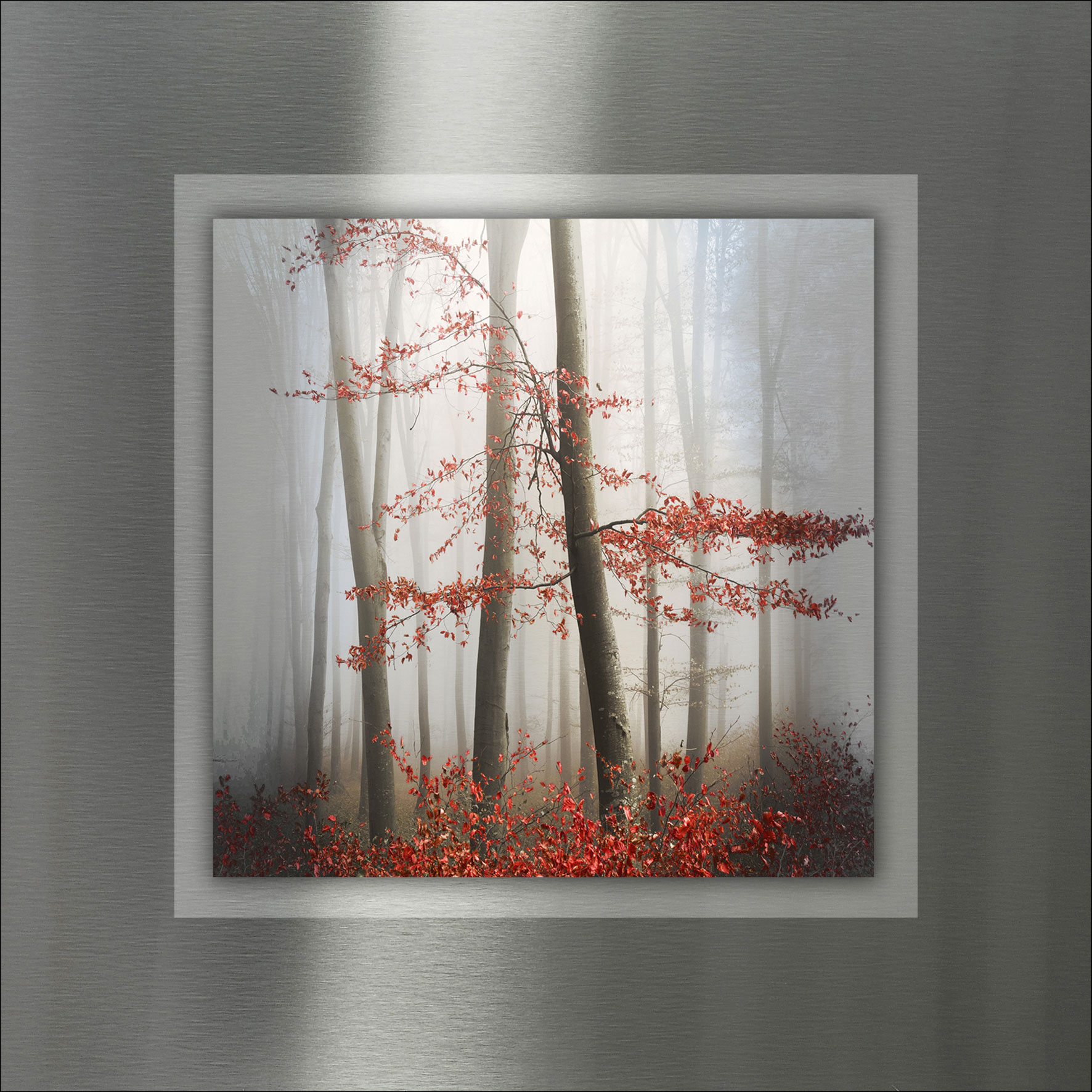 Pro ArtAludibond 50x50cm