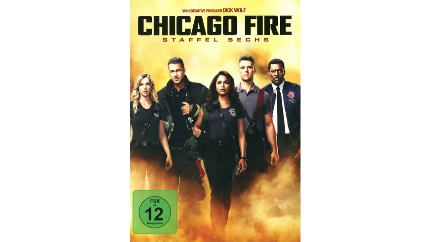 Chicago Fire - Staffel 6  [6 DVDs]