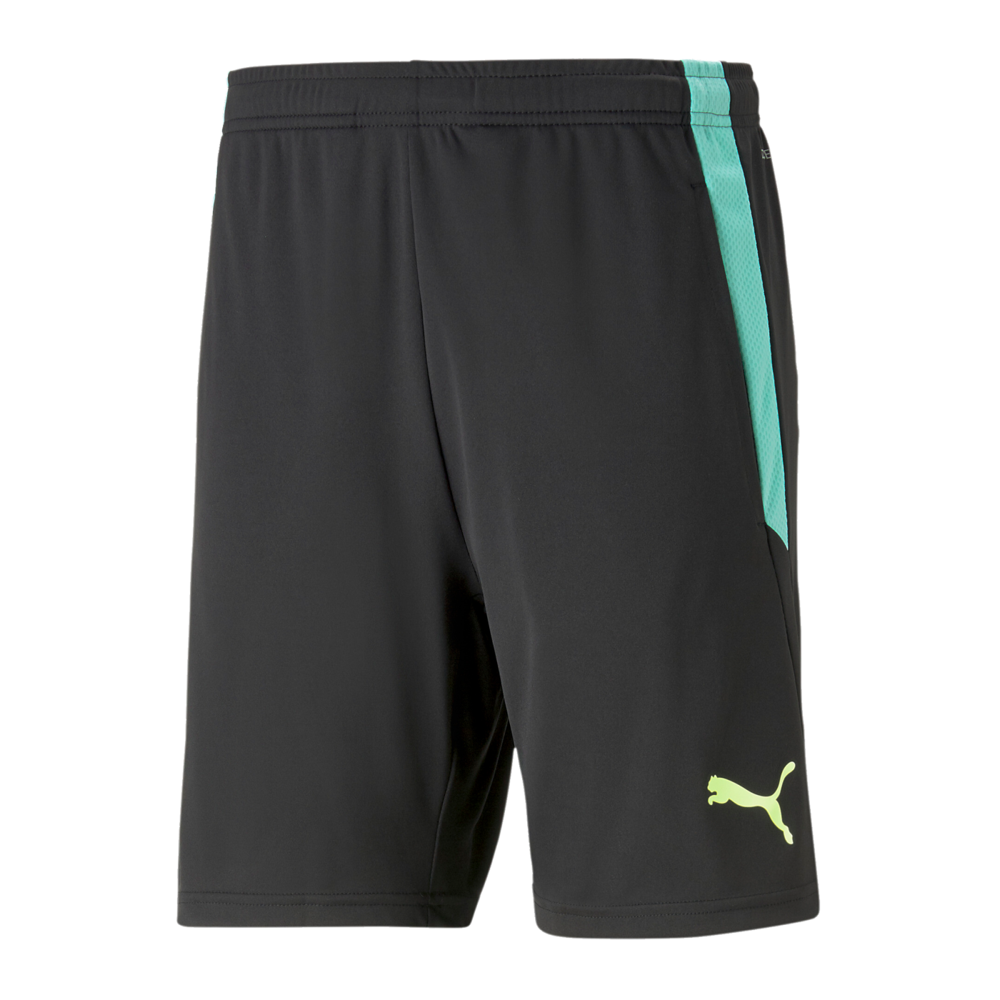 PUMA teamLIGA Training Short 2 Kids Schwarz F51