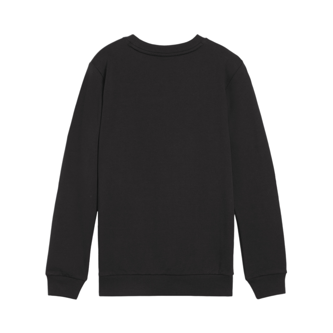 PUMA teamGOAL Casuals Sweatshirt Kids Schwarz F03