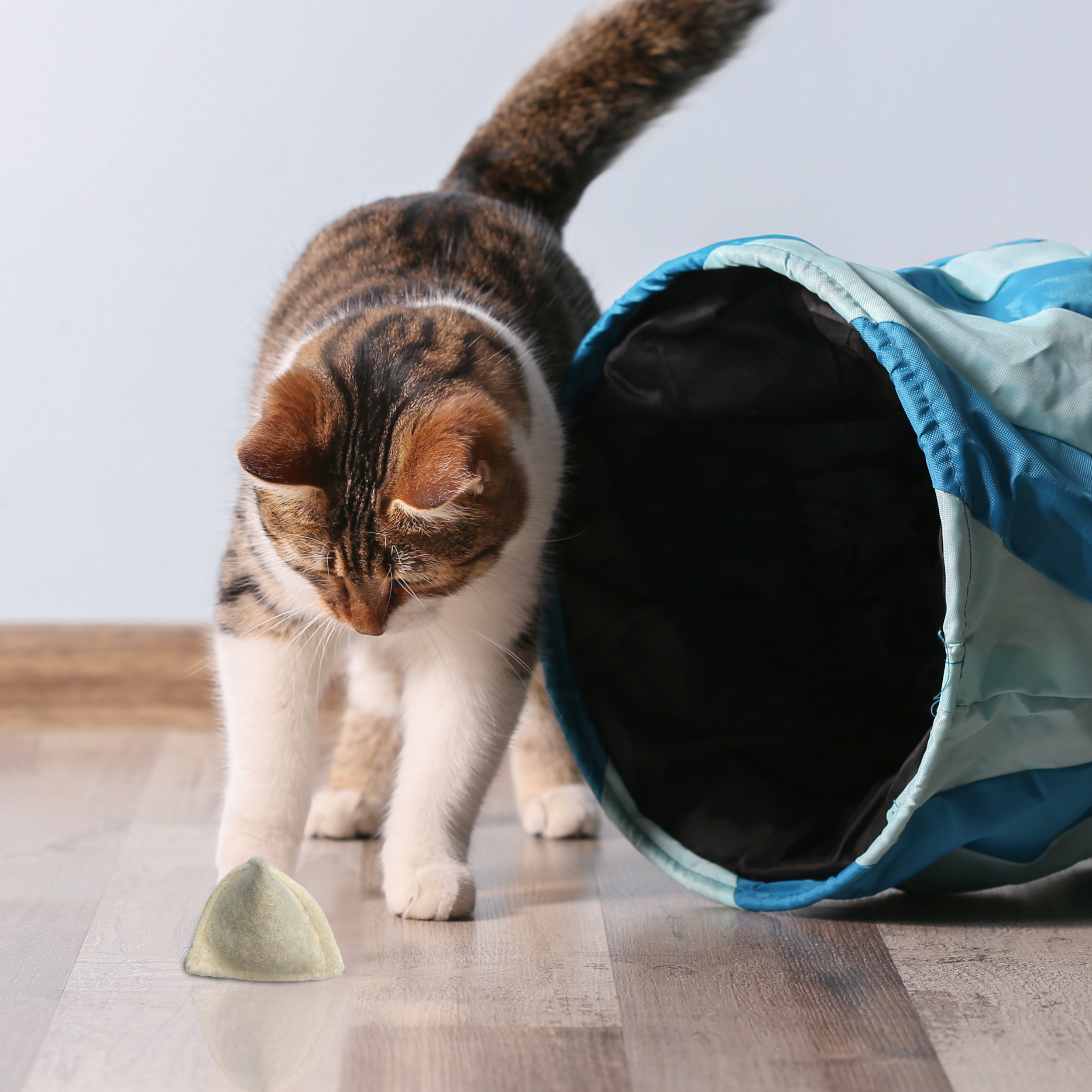 Kater Kasimir Baldrian & Catnipspielzeug Kater Kasimir Premium Katzenminze Spielkissen, 2er Set. Reiner Wollfilz vom Schaf, gefüllt mit Premium Katzenminze