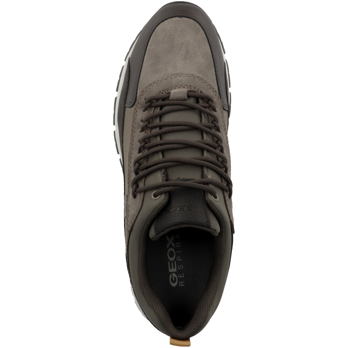 Geox U Delray B ABX B Sneaker Low braun