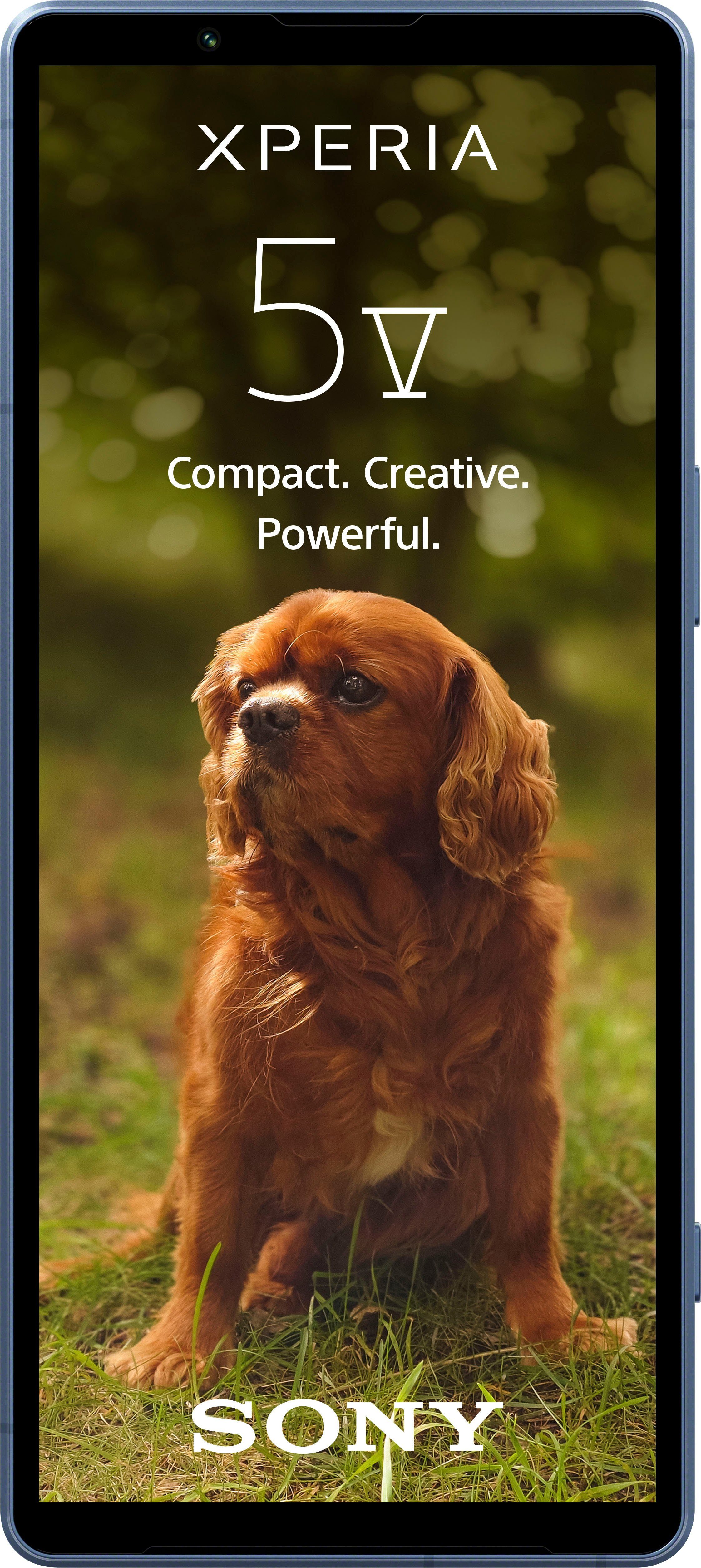 Sony XPERIA 5V Smartphone (15,49 cm/6,1 Zoll, 128 GB Speicherplatz, 12 MP Kamera)