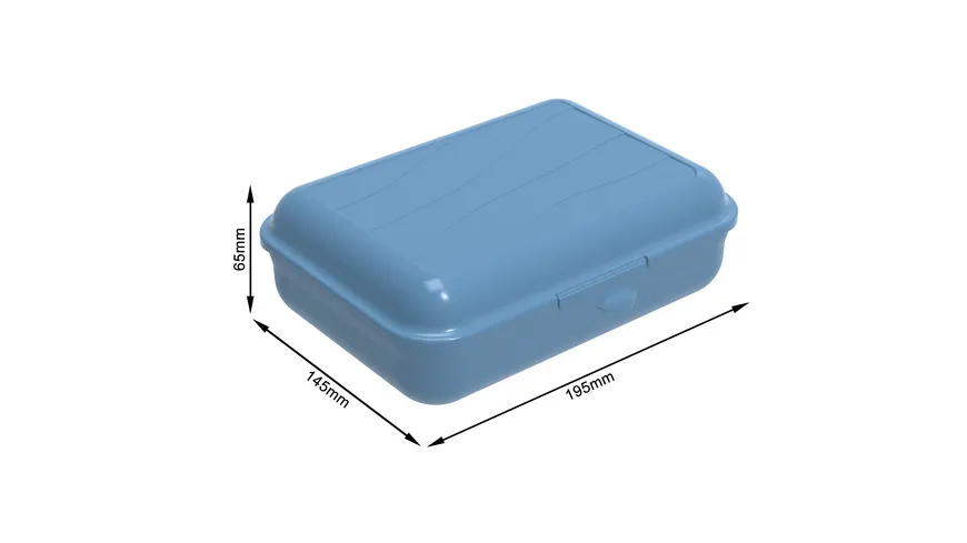 rotho Brotdose Funbox 1,25l horizon blue