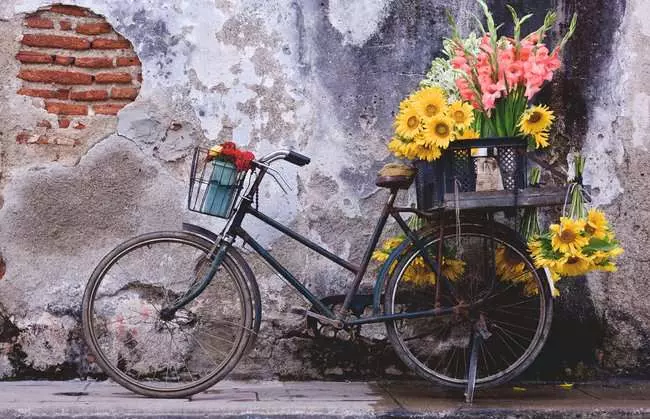 Puzzle 200 Teile - Bicycle