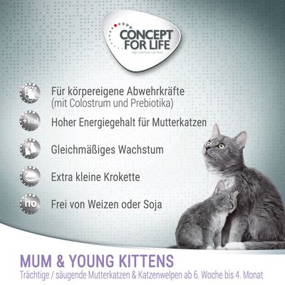 Concept for Life Mum & Young Kittens