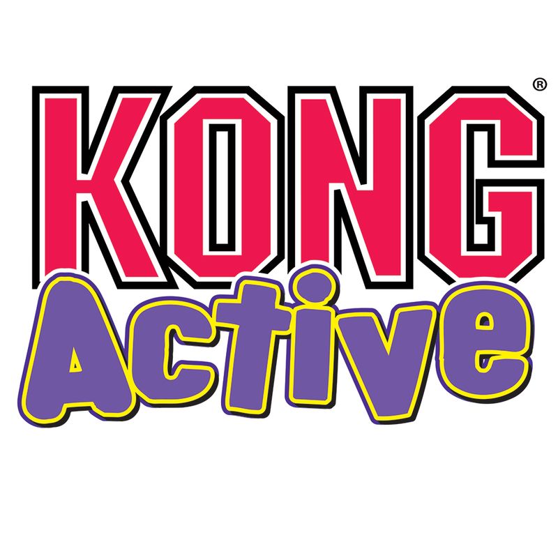 KONG Connects Window Teaser zu TOP-Preisen