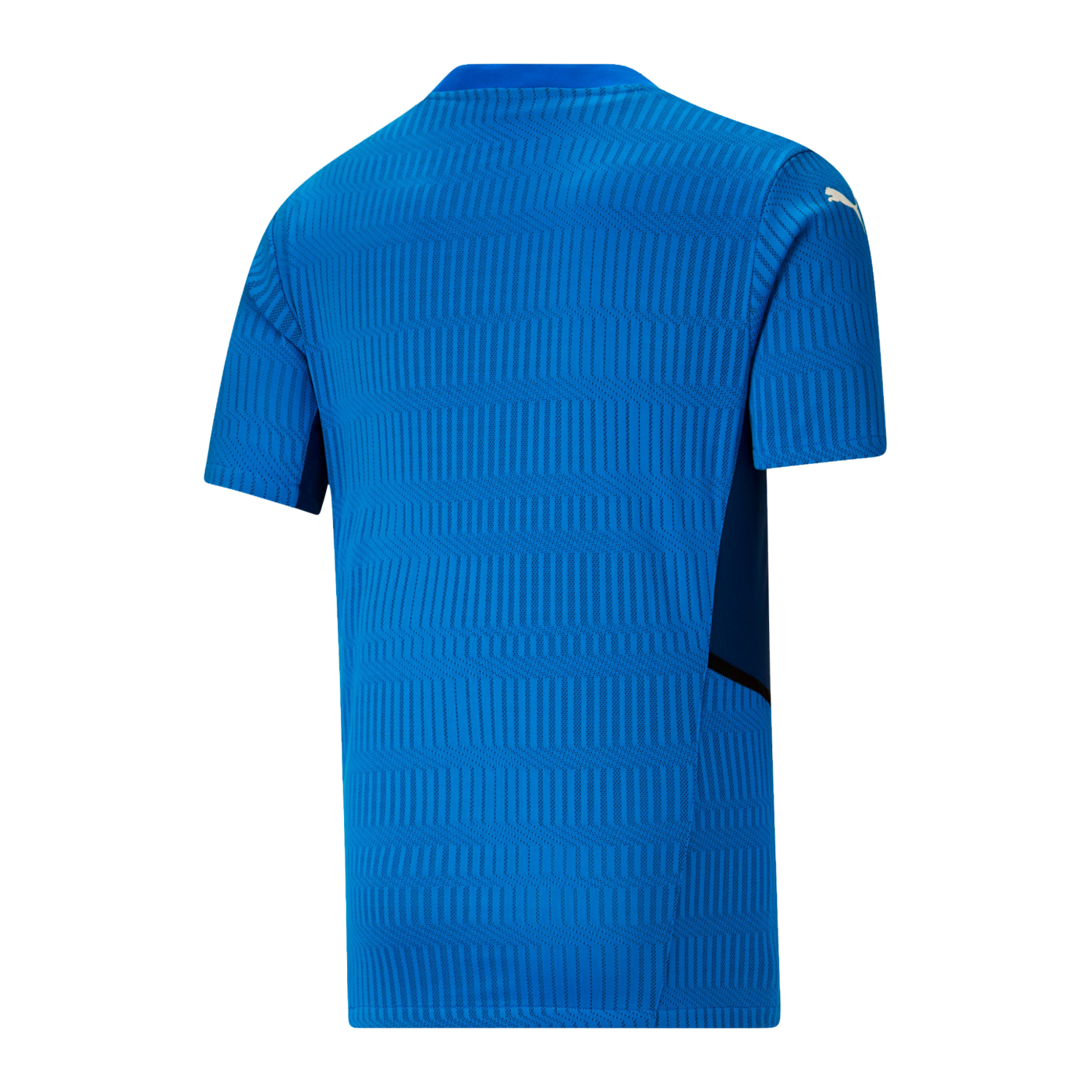 PUMA teamCUP Trikot Blau F02