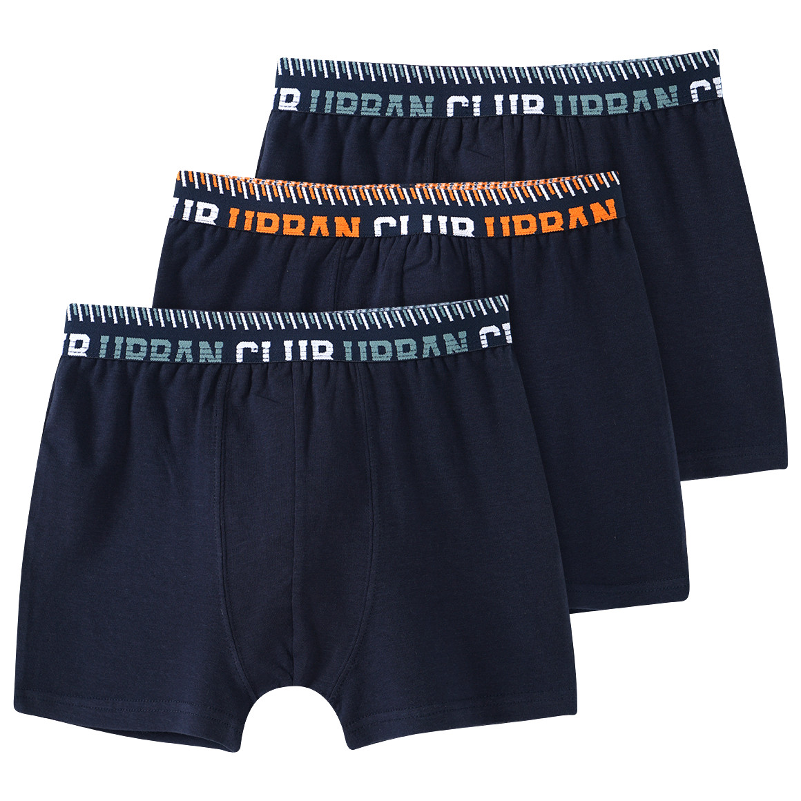 3 Jungen Boxer mit Webbund