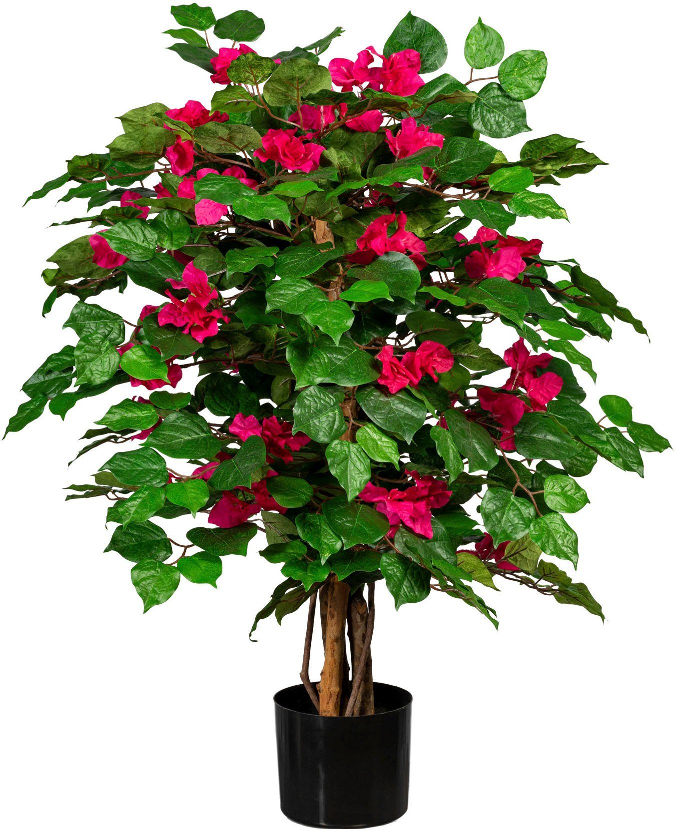 Kunstpflanze Bougainvillea Bougainvillea, Creativ green, Höhe 100 cm