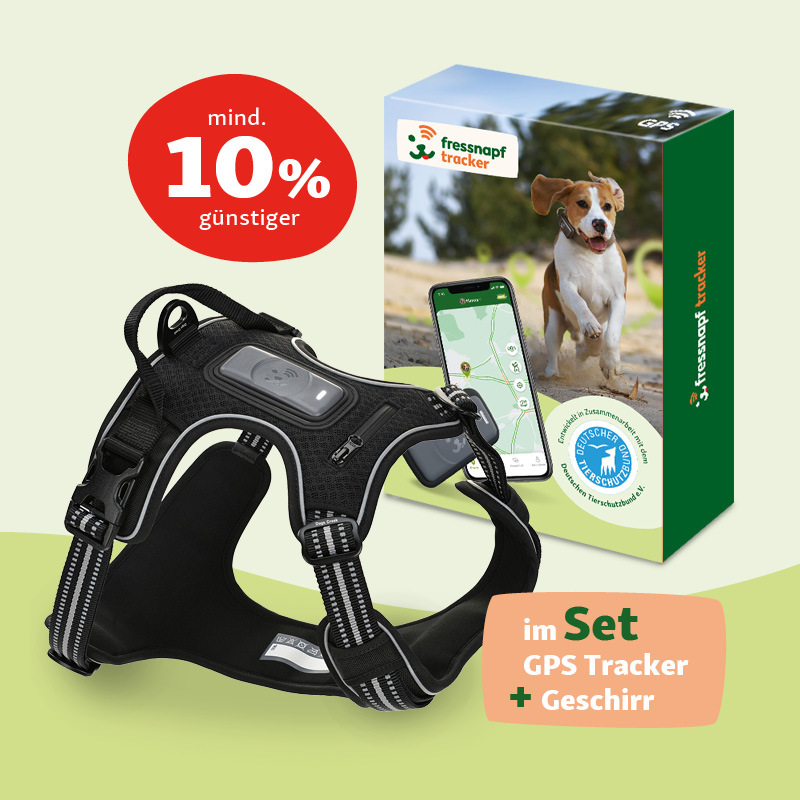 Fressnapf Hundegeschirre Fressnapf Tracker Pathfinder Geschirr Set S