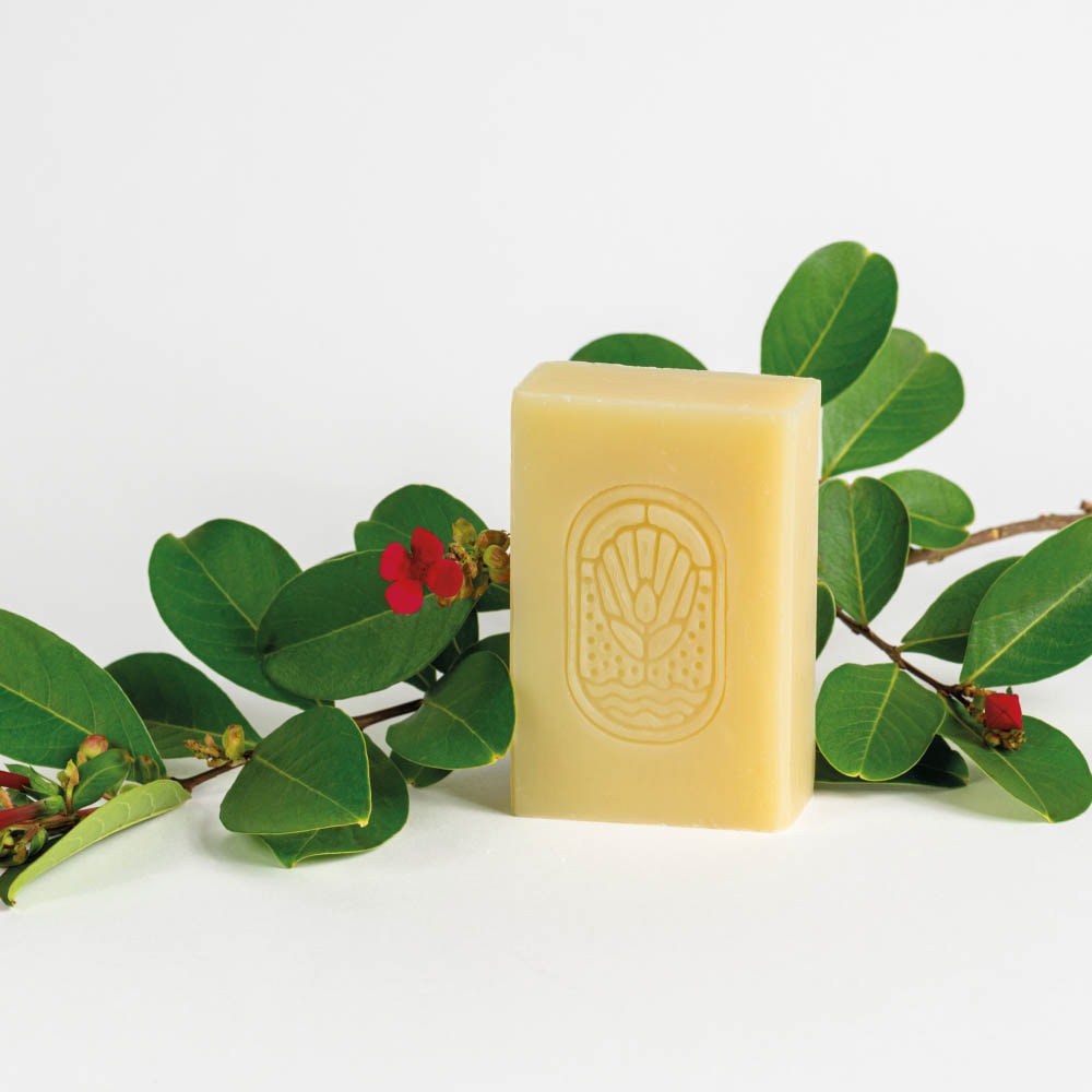 la petite madeleine Âme Santal Coffret 3 savons